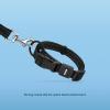 imageBest Pet Supplies Reflective Dog Collar with Adjustable Length HeavyDuty Buckle and Strong Leash DRing Training Walking Jogging Accessory for Small Medium and Large Breeds  Purple MLeash Collar Set Black
