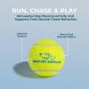 imageBest Pet Supplies Squeaky Tennis Toys for Dogs 2Pack HeavyDuty Interactive Pet Toys for Throwing and Fetching Supports Exercise and Natural Behavior Training Durable  LargeYellow Tennis