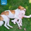 imageBest Pet Supplies Squeaky Tennis Toys for Dogs 2Pack HeavyDuty Interactive Pet Toys for Throwing and Fetching Supports Exercise and Natural Behavior Training Durable  LargeOctomutant Pink