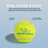 imageBest Pet Supplies Squeaky Tennis Toys for Dogs 2Pack HeavyDuty Interactive Pet Toys for Throwing and Fetching Supports Exercise and Natural Behavior Training Durable  LargeYellow Tennis