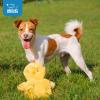 imageBest Pet Supplies Squeaky Tennis Toys for Dogs 2Pack HeavyDuty Interactive Pet Toys for Throwing and Fetching Supports Exercise and Natural Behavior Training Durable  LargeCrinkle Chicken Yellow