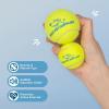 imageBest Pet Supplies Squeaky Tennis Toys for Dogs 2Pack HeavyDuty Interactive Pet Toys for Throwing and Fetching Supports Exercise and Natural Behavior Training Durable  LargeYellow Tennis