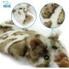 imageBest Pet Supplies Tough Dog Toys for Aggressive Chewers  Squeaky Dog Toys NonToxic Spiky Ball for Dental Health Interactive Toy Fuchsia Green M25quotBrown Snow Leopard