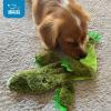 imageBest Pet Supplies Tough Dog Toys for Aggressive Chewers  Squeaky Dog Toys NonToxic Spiky Ball for Dental Health Interactive Toy Fuchsia Green M25quotBrownLion