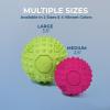 imageBest Pet Supplies Tough Dog Toys for Aggressive Chewers  Squeaky Dog Toys NonToxic Spiky Ball for Dental Health Interactive Toy Fuchsia Green M25quotFuchsia