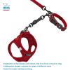 imageBest Pet Supplies Voyager Dog Collar Safety Clip with Dual Clasps Collars and No Pull Harness Connectors Training for Walking Running and Hiking Safety Clip  Black