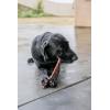 imageGigaBite 6 Inch Beef Gullet Jerky Strips 25 Pack  All Natural Free Range Beef Esophagus Taffy Dog Treat by Best Pet SuppliesEsophagus Sticks