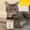 imageNatural Silvervine Cat Chew Toy  Interactive Silver Vine Chewing Toys with Catnip Like Effect  Trio Lollipop 2 Packs of 3Gall Fruits