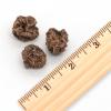 imageNatural Silvervine Cat Chew Toy  Interactive Silver Vine Chewing Toys with Catnip Like Effect  Trio Lollipop 2 Packs of 3Gall Fruits