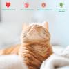 imageNatural Silvervine Cat Chew Toy  Interactive Silver Vine Chewing Toys with Catnip Like Effect  Trio Lollipop 2 Packs of 3Hexagon