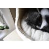 imagePet TentSoft Bed for Dog and Cat by Best Pet Supplies  Beige Corduroy 19quot x 19quot x H19quotCat Cave Gray