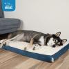 imagePet TentSoft Bed for Dog and Cat by Best Pet Supplies  Beige Corduroy 19quot x 19quot x H19quotDog Mat Blue