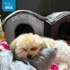imagePet TentSoft Bed for Dog and Cat by Best Pet Supplies  Beige Corduroy 19quot x 19quot x H19quotLight Brown w Bones