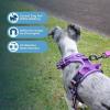 imageVoyager Dog Harness Dual Leash Attachment NoPull Control Adjustable Soft but Strong Pet Harness for Medium and Large Dogs with 3M Reflective Technology  Harness Leash Set Royal Blue Lattice MHarness Leash Set Purple Nylon
