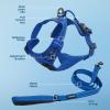 imageVoyager Dog Harness Dual Leash Attachment NoPull Control Adjustable Soft but Strong Pet Harness for Medium and Large Dogs with 3M Reflective Technology  Harness Leash Set Royal Blue Lattice MHarness Leash Set Royal Nylon
