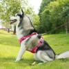 imageVoyager Dog Harness Dual Leash Attachment NoPull Control Adjustable Soft but Strong Pet Harness for Medium and Large Dogs with 3M Reflective Technology  Harness Leash Set Royal Blue Lattice MHarness Leash Set Fuchsia Nylon