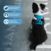 imageVoyager Dog Harness Dual Leash Attachment NoPull Control Adjustable Soft but Strong Pet Harness for Medium and Large Dogs with 3M Reflective Technology  Harness Leash Set Royal Blue Lattice MHarness Leash Set Turquoise Nylon