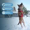 imageVoyager Dog Harness Dual Leash Attachment NoPull Control Adjustable Soft but Strong Pet Harness for Medium and Large Dogs with 3M Reflective Technology  Harness Leash Set Royal Blue Lattice MHarness Leash Set Red Nylon