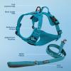 imageVoyager Dog Harness Dual Leash Attachment NoPull Control Adjustable Soft but Strong Pet Harness for Medium and Large Dogs with 3M Reflective Technology  Harness Leash Set Royal Blue Lattice MHarness Leash Set Turquoise Nylon