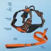 imageVoyager Dog Harness Dual Leash Attachment NoPull Control Adjustable Soft but Strong Pet Harness for Medium and Large Dogs with 3M Reflective Technology  Harness Leash Set Royal Blue Lattice MHarness Leash Set Orange Nylon