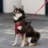 imageVoyager Dog Harness Dual Leash Attachment NoPull Control Adjustable Soft but Strong Pet Harness for Medium and Large Dogs with 3M Reflective Technology  Harness Leash Set Royal Blue Lattice MHarness Leash Set Red Nylon