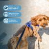 imageVoyager Dog Harness Dual Leash Attachment NoPull Control Adjustable Soft but Strong Pet Harness for Medium and Large Dogs with 3M Reflective Technology  Harness Leash Set Royal Blue Lattice MHarness Leash Set Royal Nylon