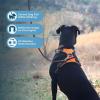 imageVoyager Dog Harness Dual Leash Attachment NoPull Control Adjustable Soft but Strong Pet Harness for Medium and Large Dogs with 3M Reflective Technology  Harness Leash Set Royal Blue Lattice MHarness Leash Set Orange Nylon