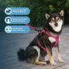 imageVoyager Dog Harness Dual Leash Attachment NoPull Control Adjustable Soft but Strong Pet Harness for Medium and Large Dogs with 3M Reflective Technology  Harness Leash Set Royal Blue Lattice MHarness Leash Set Fuchsia Nylon