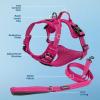 imageVoyager Dog Harness Dual Leash Attachment NoPull Control Adjustable Soft but Strong Pet Harness for Medium and Large Dogs with 3M Reflective Technology  Harness Leash Set Royal Blue Lattice MHarness Leash Set Fuchsia Nylon