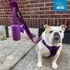 imageVoyager Reflective Dog Leash with Neoprene Handle 5 FT and Reusable Plastic Dispenser Poop Bag Holder Set for Walking and Outdoor Use Soft and Durable with ClipOn  Orange Orange DispenserLeash Dispenser Set Purple