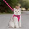 imageVoyager Stepin Air Cat Leash Harness Set  All Weather Mesh Step in Vest Harness for Small and Large Cats by Best Pet Supplies  Fuchsia XXS Chest 12135quotFuchsia
