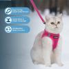 imageVoyager Stepin Air Cat Leash Harness Set  All Weather Mesh Step in Vest Harness for Small and Large Cats by Best Pet Supplies  Fuchsia XXS Chest 12135quotFuchsia