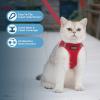 imageVoyager Stepin Air Cat Leash Harness Set  All Weather Mesh Step in Vest Harness for Small and Large Cats by Best Pet Supplies  Fuchsia XXS Chest 12135quotRed