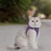 imageVoyager Stepin Air Cat Leash Harness Set  All Weather Mesh Step in Vest Harness for Small and Large Cats by Best Pet Supplies  Fuchsia XXS Chest 12135quotPurple