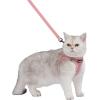 imageVoyager Stepin Air Cat Leash Harness Set  All Weather Mesh Step in Vest Harness for Small and Large Cats by Best Pet Supplies  Fuchsia XXS Chest 12135quotPink