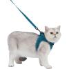 imageVoyager Stepin Air Cat Leash Harness Set  All Weather Mesh Step in Vest Harness for Small and Large Cats by Best Pet Supplies  Fuchsia XXS Chest 12135quotTurquoise
