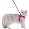 imageVoyager Stepin Air Cat Leash Harness Set  All Weather Mesh Step in Vest Harness for Small and Large Cats by Best Pet Supplies  Fuchsia XXS Chest 12135quotFuchsia