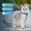 imageVoyager Stepin Air Cat Leash Harness Set  All Weather Mesh Step in Vest Harness for Small and Large Cats by Best Pet Supplies  Fuchsia XXS Chest 12135quotBaby Blue