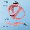 imageVoyager Stepin Air Cat Leash Harness Set  All Weather Mesh Step in Vest Harness for Small and Large Cats by Best Pet Supplies  Fuchsia XXS Chest 12135quotPink