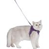 imageVoyager Stepin Air Cat Leash Harness Set  All Weather Mesh Step in Vest Harness for Small and Large Cats by Best Pet Supplies  Fuchsia XXS Chest 12135quotPurple