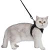 imageVoyager Stepin Air Cat Leash Harness Set  All Weather Mesh Step in Vest Harness for Small and Large Cats by Best Pet Supplies  Fuchsia XXS Chest 12135quotBlack