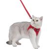 imageVoyager Stepin Air Cat Leash Harness Set  All Weather Mesh Step in Vest Harness for Small and Large Cats by Best Pet Supplies  Fuchsia XXS Chest 12135quotRed