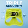 imageVoyager Stepin Air Cat Leash Harness Set  All Weather Mesh Step in Vest Harness for Small and Large Cats by Best Pet Supplies  Fuchsia XXS Chest 12135quotLime Green