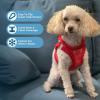 imageVoyager Stepin Plush Dog Harness  Soft Plush Step in Vest Harness and Reflective Dog 5 ft Leash Combo with Neoprene Handle for Small and Medium Dogs by Best Pet Supplies Set Red Corduroy XSHarness Leash Set Red Corduroy