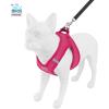 imageVoyager Stepin Plush Dog Harness  Soft Plush Step in Vest Harness and Reflective Dog 5 ft Leash Combo with Neoprene Handle for Small and Medium Dogs by Best Pet Supplies Set Red Corduroy XSHarness Leash Set Fuchsia Corduroy