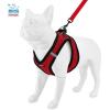 imageVoyager Stepin Plush Dog Harness  Soft Plush Step in Vest Harness and Reflective Dog 5 ft Leash Combo with Neoprene Handle for Small and Medium Dogs by Best Pet Supplies Set Red Corduroy XSHarness Leash Set Red Plush