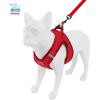 imageVoyager Stepin Plush Dog Harness  Soft Plush Step in Vest Harness and Reflective Dog 5 ft Leash Combo with Neoprene Handle for Small and Medium Dogs by Best Pet Supplies Set Red Corduroy XSHarness Leash Set Red Corduroy