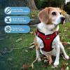 imageVoyager Stepin Plush Dog Harness  Soft Plush Step in Vest Harness and Reflective Dog 5 ft Leash Combo with Neoprene Handle for Small and Medium Dogs by Best Pet Supplies Set Red Corduroy XSHarness Leash Set Red Plush