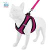 imageVoyager Stepin Plush Dog Harness  Soft Plush Step in Vest Harness and Reflective Dog 5 ft Leash Combo with Neoprene Handle for Small and Medium Dogs by Best Pet Supplies Set Red Corduroy XSHarness Leash Set Red Rose Plush