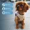 imageVoyager Stepin Plush Dog Harness  Soft Plush Step in Vest Harness and Reflective Dog 5 ft Leash Combo with Neoprene Handle for Small and Medium Dogs by Best Pet Supplies Set Red Corduroy XSHarness Leash Set Latte Suede